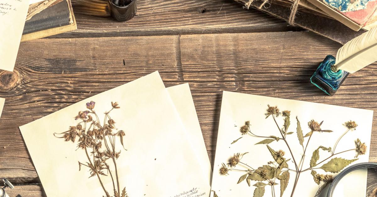 Herbarium | Liebe Deinen Garten